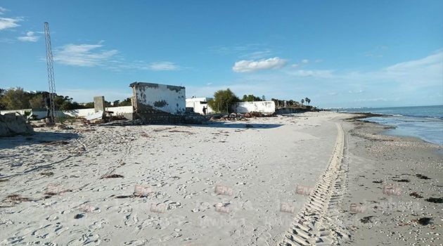 حماية الشريط الساحلي: 