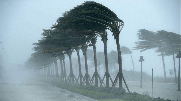 نابل: بلاغ تحذيري اثر هبوب رياح قوية 