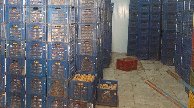 جندوبة: مداهمة مخزن عشوائي وحجز كمية من الخضر