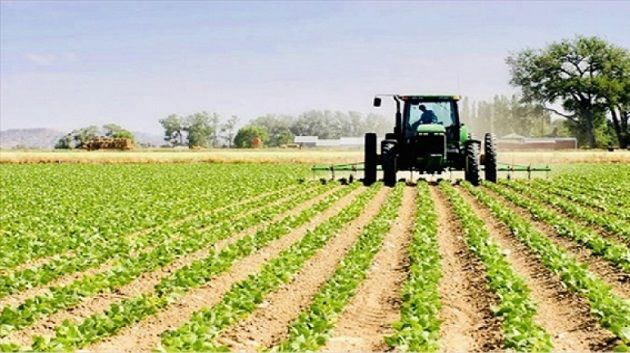 ارتفاع الاستثمارات الفلاحية و 3500 موطن شغل جديد 