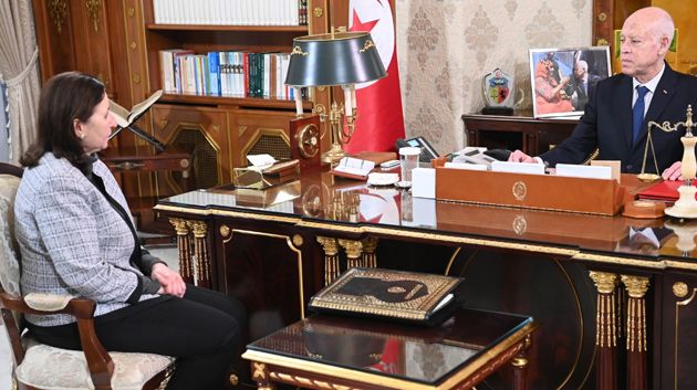 رئيس الدولة: فلول المنظومة القديمة تؤجج الأوضاع