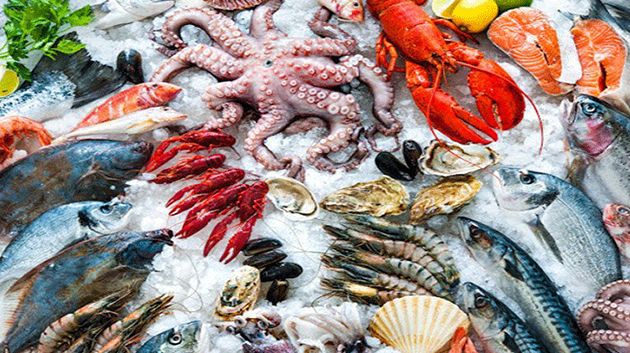 ميزان التجارة الخارجية لمنتوجات الصيد البحري يُسجّل فائضاً بحواليْ 284 مليون دينار