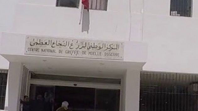 قرارات لتعزيز برنامج زرع النخاع العظمي وتقليص آجال الانتظار