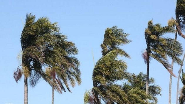 طقس اليوم: أمطار متفرقة ورياح قوية بهذه الجهات