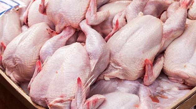 إبراهيم النّفزاوي: 'سعر الدجاج 8,500 مي.. وهناك تجاوزات من قبل بعض المذابح' (فيديو)