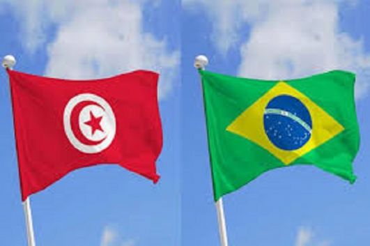 انعقاد الدورة الخامسة للمشاورات السياسية التونسية البرازيلية بالبرازيل