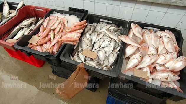 مسؤول باتحاد الفلاحة: 'بعض الوسطاء وراء ارتفاع أسعار الأسماك' (فيديو)