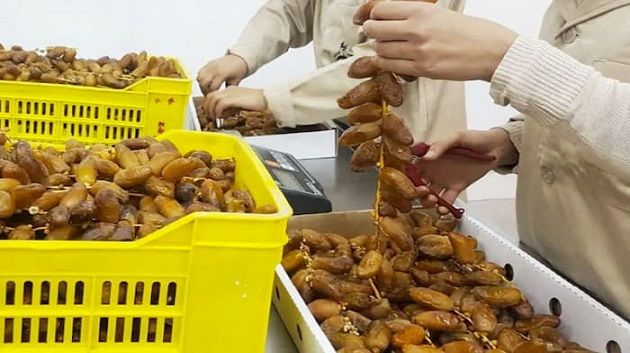 تونس تتحصل على أول علامة مُصدّر للتمور والزيوت البيولوجية إلى روسيا