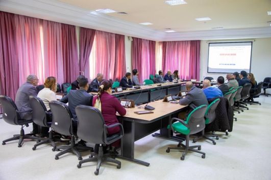 جلسة إستماع حول إعادة تأهيل شركة الخطوط التونسية واستعداداتها لموسم عودة التونسيين بالخارج