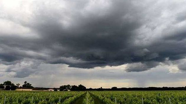 وزارة الفلاحة تصدر بلاغا تحذيريا