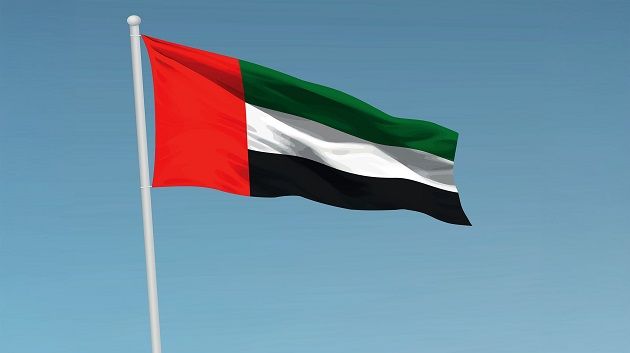 وزارة الدفاع الإماراتية: وفاة عسكريين إثر سقوط طائرة عمودية