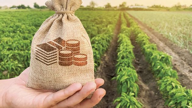 قانون تسوية الديون الفلاحية المتعثّرة: التفاصيل (فيديو)