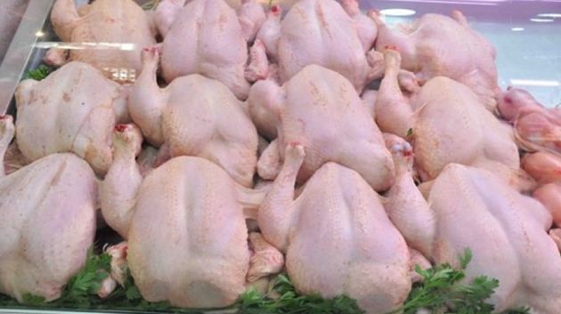 رئيس غرفة تُجّار الدواجن: 'بعض المذابح لم تلتزم بالتسعيرة وتقوم بممارسات غير قانونية' (فيديو)