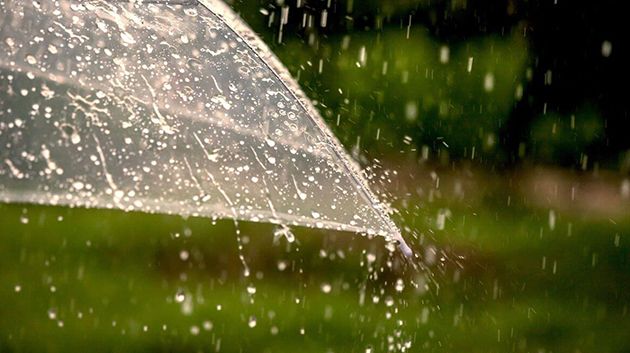 عامر بحبة: 'الأمطار ستتواصل اليوم.. وهذه حالة الطقس هذا الأسبوع' (فيديو)