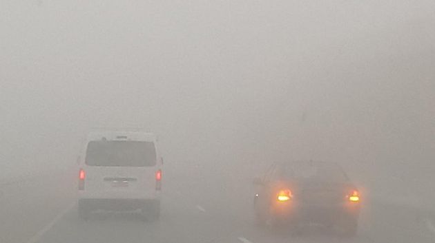 اليوم: ضباب محلي كثيف