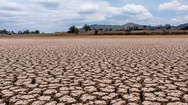 الرائد الرسمي: إقرار إجراءات لتعويض الفلاحين وجدولة ديونهم في ولايات تضررت بالجفاف 
