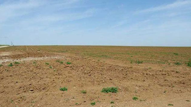  بنزرت: تخصيص 91 هكتارا من الأراضي الدولية المسترجعة للفلاحين الشبان والمهنيين وحاملي الشهادات العليا