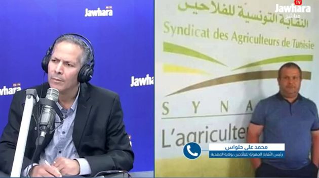 رئيس نقابة الفلاحين بالمهدية: 'انخفاض مرتقب في أسعار الدواجن'