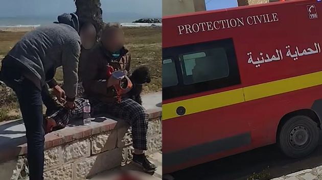 كلاب سائبة تنهش سيّدة بكورنيش حمام الأنف: التفاصيل (فيديو)