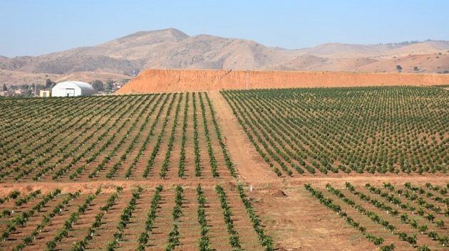 قائمة العقارات الدولية الفلاحية المعروضة للكراء للشركات الأهلية