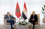 مصر تعلن دعمها للوحدة الترابية للمغرب