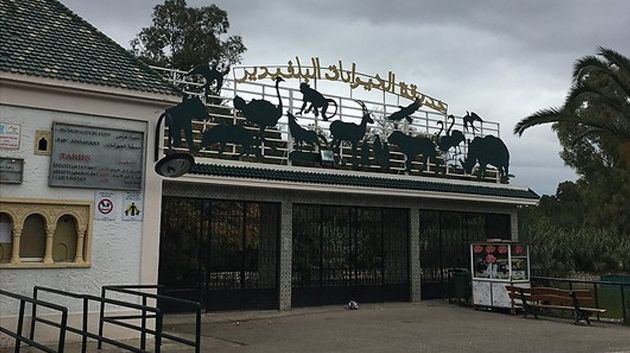 غلق حديقة الحيوانات بالبلفيدير لمدّة شهر 