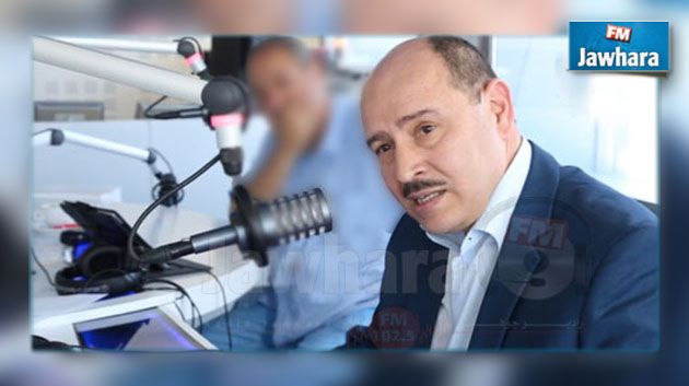 لطفي المرايحي : حكومة المهدي جمعة