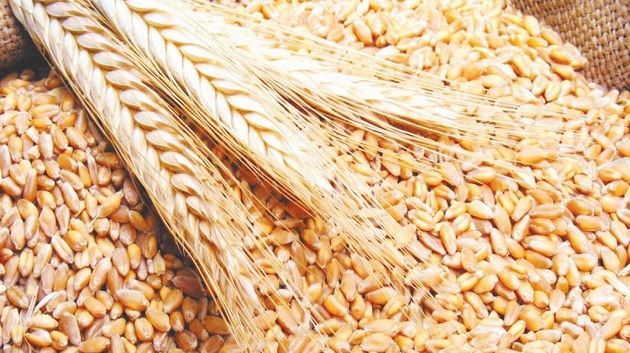 منظمة إرشاد المستهلك: 'قرار ضبط نسب استخراج الدقيق والسميد خطوة مفصلية'