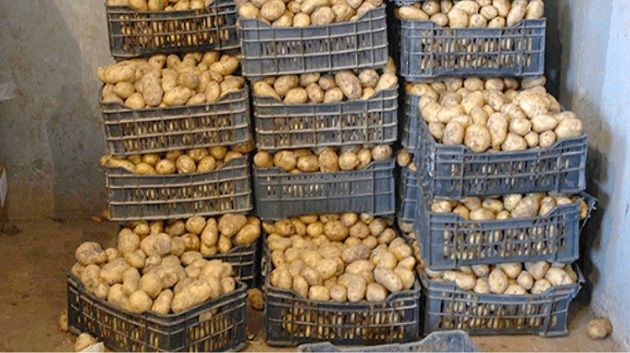 منوبة : حجز طنيّن من البطاطا