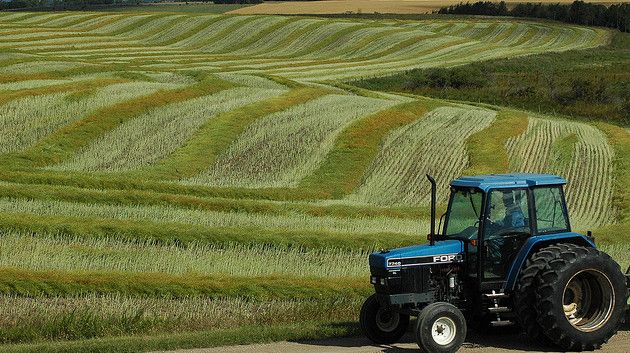 نائب يقترح إحداث سلك أمن فلاحي