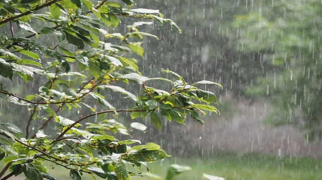 اليوم: أمطار رعدية غزيرة بهذه الجهات