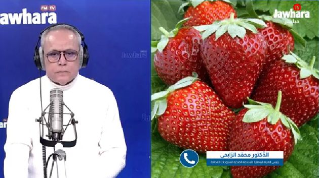 د.محمد الرّابحي: 'الفراولة سليمة.. وسنُقاضي من يقف وراء بث الإشاعات' 