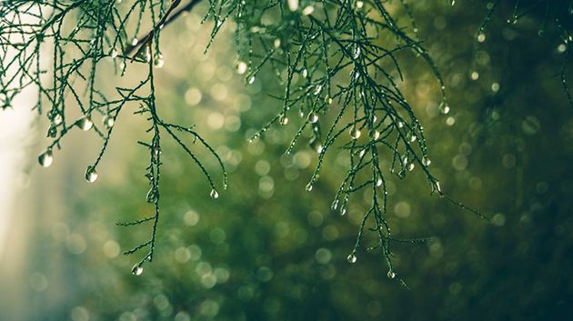 وداعاً للتقلّبات.. عامر بحبة يكشف عن 'انفراجة جوّية' مرتقبة (فيديو)