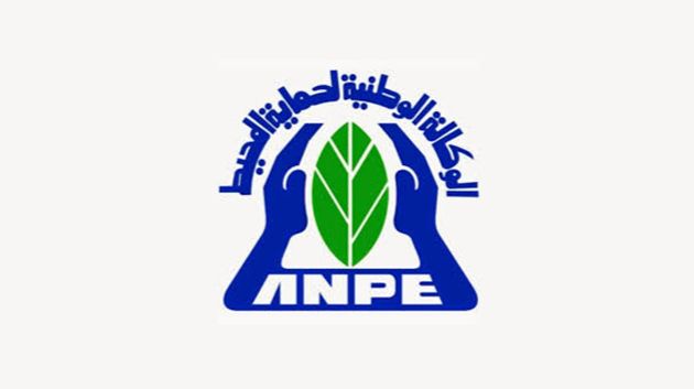 وكالة حماية المحيط تطلق نظاماً بيئيّاً ذكيًّا لتعزيز التحول الرقمي