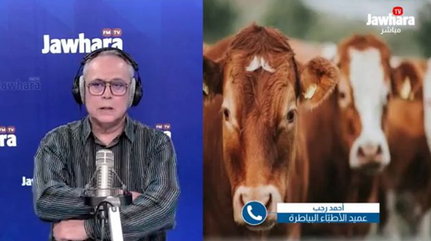 عميد البياطرة: '1500 إصابة بالسلّ سنوياً.. و80% منها مصدرها حيواني' 