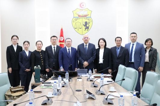 قطب أفريقي للطب التكاملي محور جلسة عمل تونسية صينية