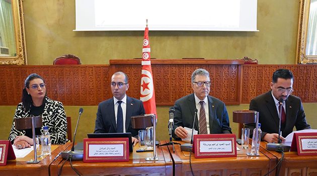 كاتب الدولة المكلف بالانتقال الطاقي: المواطن التونسي أكبر منتج ذاتي للكهرباء من الطاقة الشمسية 