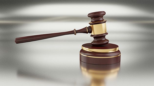 القضاء ينتصر لحصان حفل زفاف بوزلفة (فيديو)