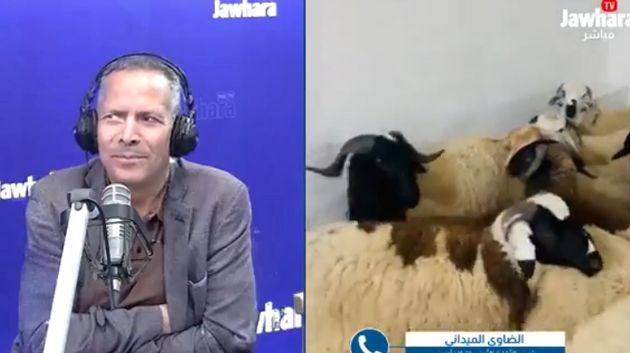 الضاوي: 'اشتروا الأضاحي مباشرة من المنتج لقطع الطريق على الوسطاء'