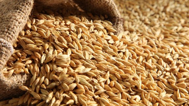 تونس تطرح مناقصة لشراء نحو 25 ألف طن من علف الشعير 