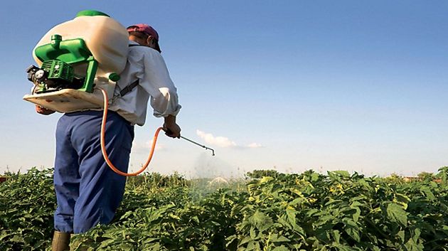 مختص يحذّر من الإفراط في استعمال المبيدات والأسمدة الكيميائية 