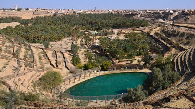 قسم الدواوين والمنشآت العمومية: ثروات تونس ليست لزمات بل أمانة للأجيال