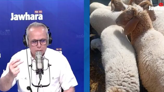 عبد الله الصّحراوي: 'توريد النعاج ضروري لإنقاذ قطاع تربية الماشية'