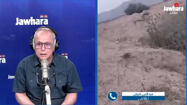 أفعى عملاقة تُثير الذعر في سيدي بوزيد: التفاصيل