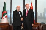 أردوغان: وضعنا أسس تعاون مستقبلي واسع مع الجزائر