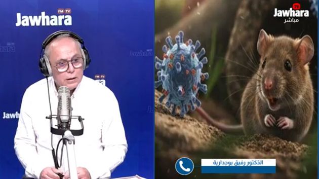 فيروس هانتا.. ماهي أعراضه وطرق انتقاله؟