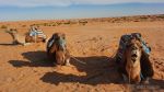 طقس اليوم: درجات الحرارة تصل إلى 41 درجة بأقصى الجنوب