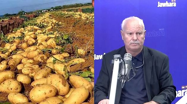 حمادي البوبكري: 'مرض الميلديو يُهدّد صابة البطاطا بسبب التّقلّبات المناخيّة' (فيديو)