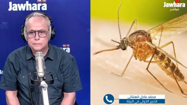 ما هي بعوضة النمر وكيف نتجنّب لسعتها؟ خبير دولي في البيئة يوضّح