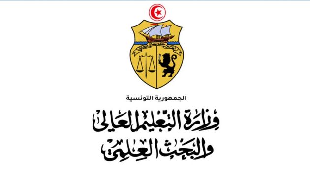 وزارة التعليم العالي: انتداب 110 مدرس تكنولوجي وبرمجة خطط إضافية